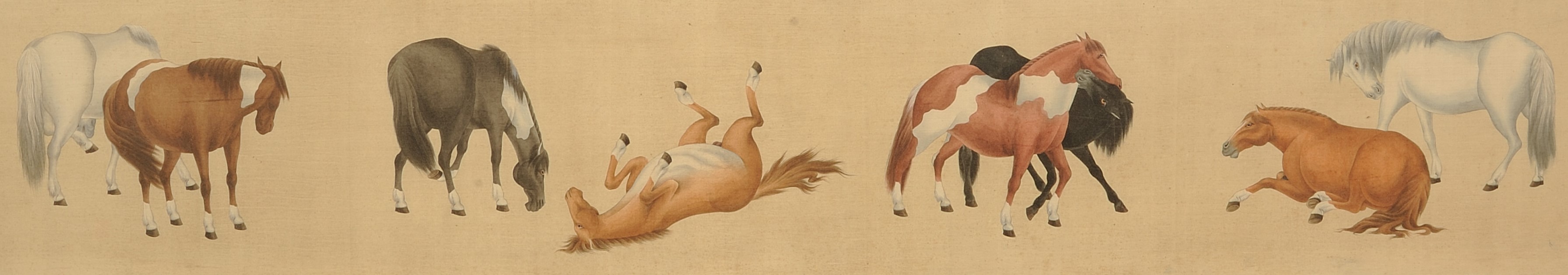 Caballos
