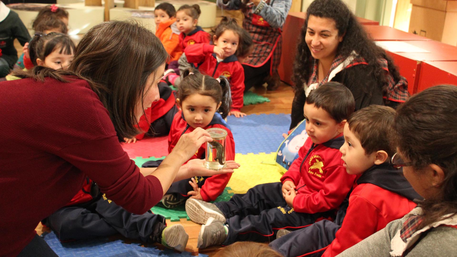 Actividades para la enseñanza inicial en el Museo de Historia Natural de Valparaíso