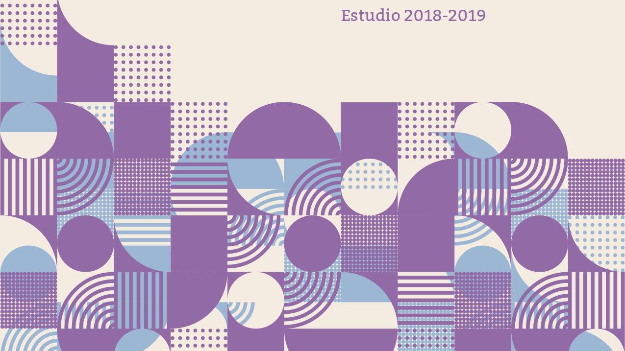 Visitantes de museos chilenos. Estudio 2018-2019