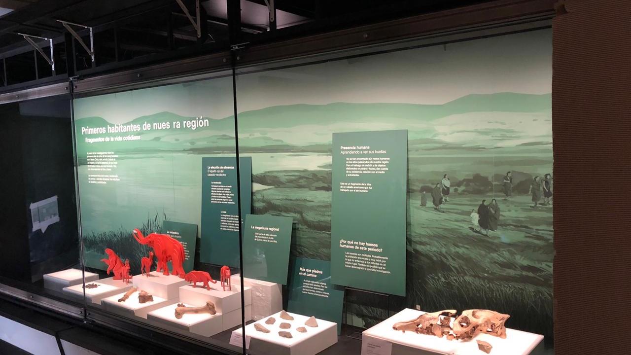 Premontaje nueva exhibición permanente MALS