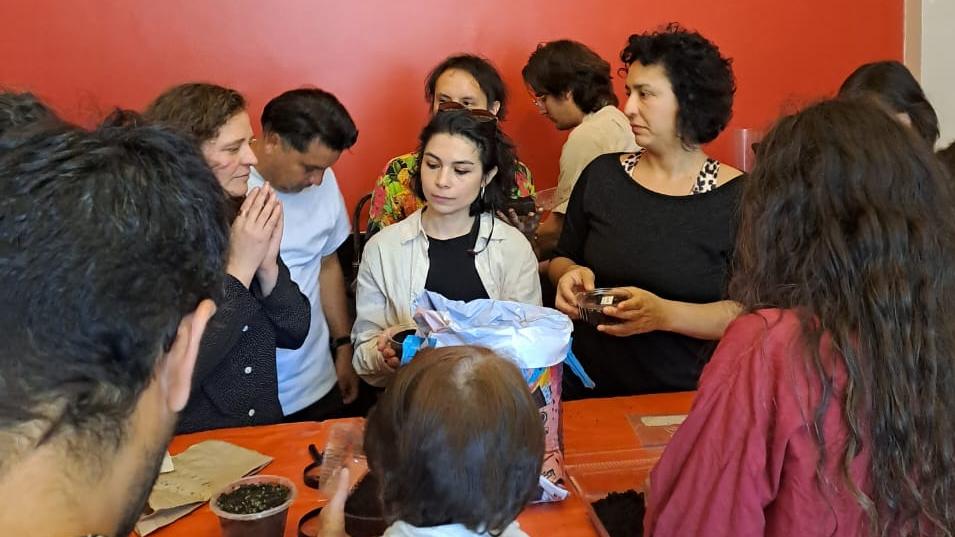 proplegales diseño para cultivo de semillas