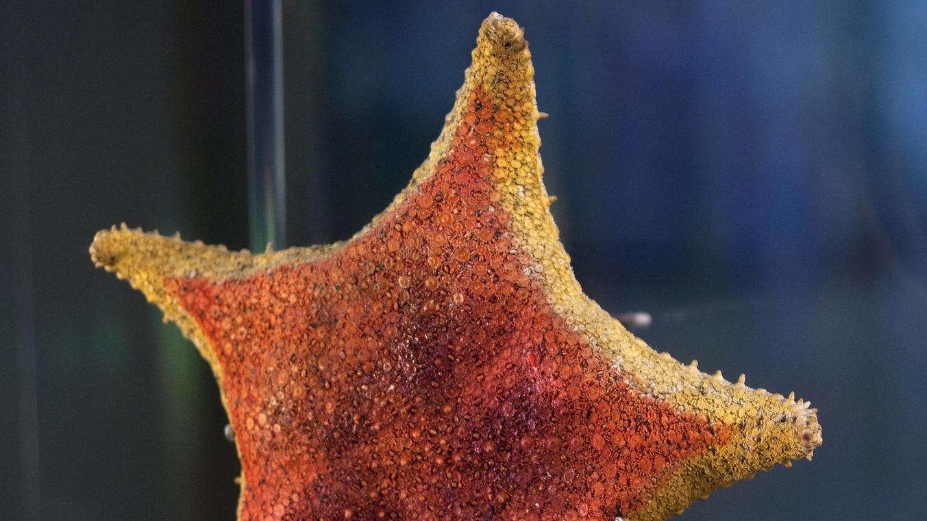 diciembre en el museo