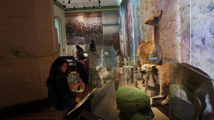 recorriendo el museo