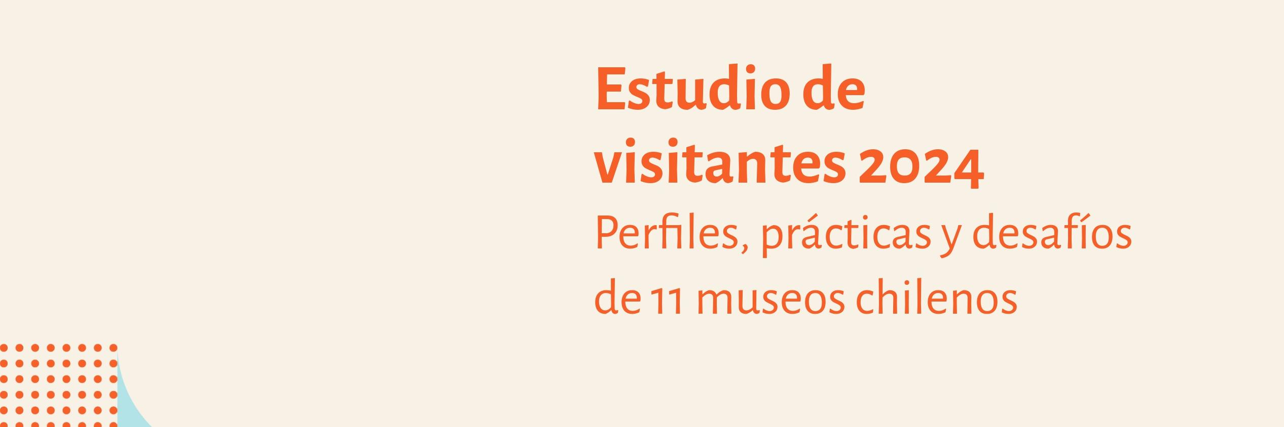 Portada Estudio de visitantes 2024