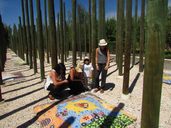 Grupo de personas observa un mosaico en el suelo, en medio de un bosque de varas de madera verde.