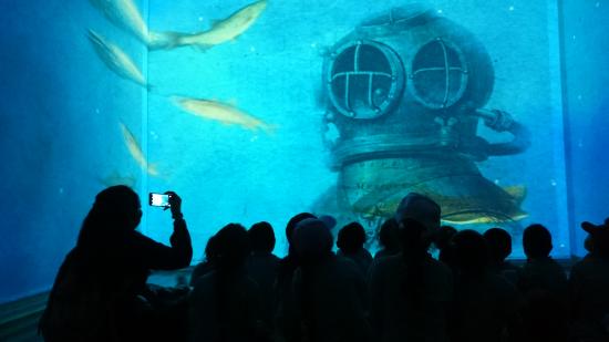 El Museo de Historia Natural de Valparaíso celebra un 2024 récord, con más de 105.000 visitas, lo que representa un aumento del 36% respecto al año anterior.