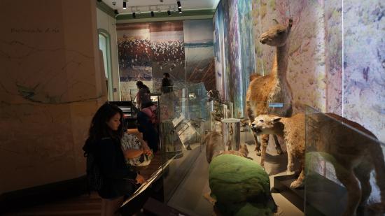 recorriendo el museo