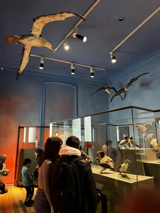 recorrido de visitantes en el museo