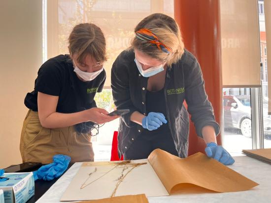 visita especialistas jardín botánico de Suecia